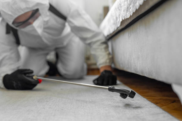 Professional Cockroach Control technician working in Lily Lake, IL