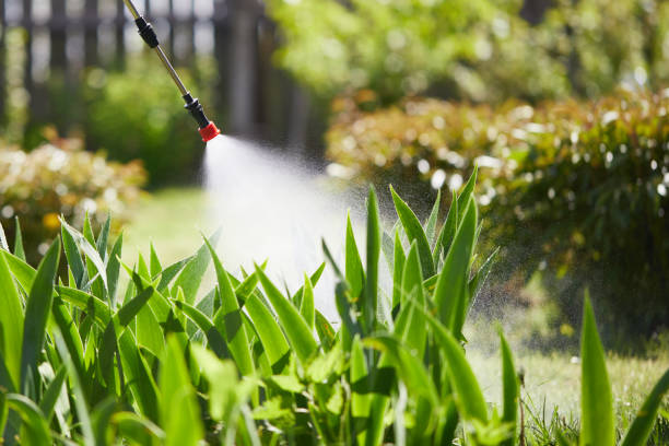24/7 Emergency Cockroach Control experts in Lily Lake, IL