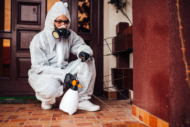 Reliable Cockroach Control contractor in Lily Lake, IL by Nex Pest Control