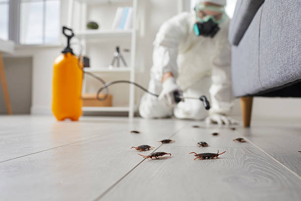 Trusted Cockroach Control service in Lily Lake, IL - Nex Pest Control